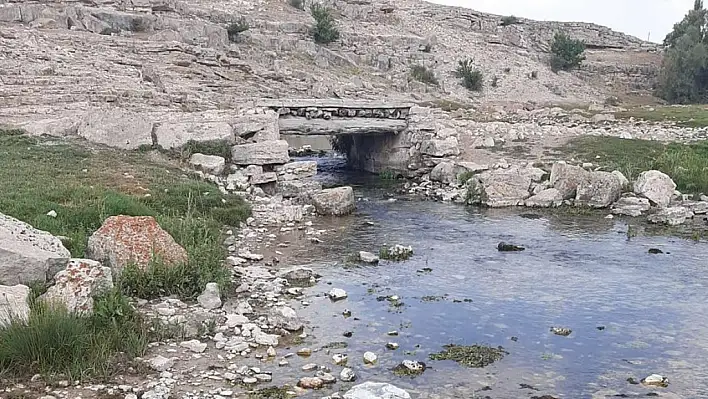 Kayseri'nin can damarı kuruyor! Göz göre göre yok oluyor