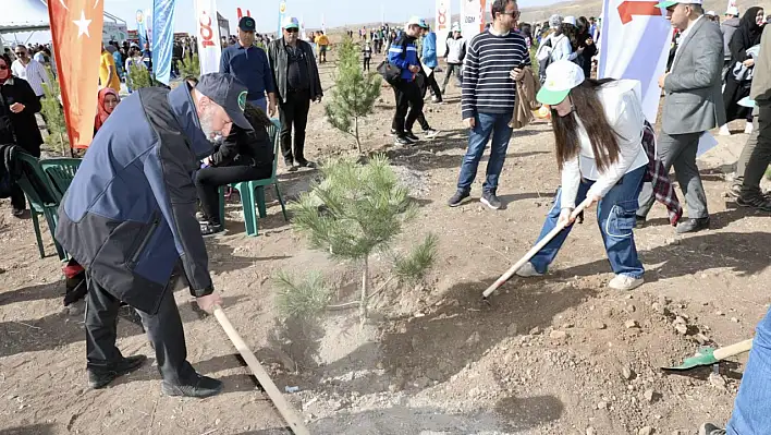 'Kayseri'nin denizi yemyeşil olacak'