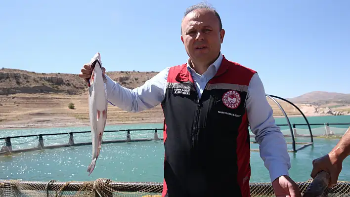 Kayseri'nin denizinde hasat zamanı!