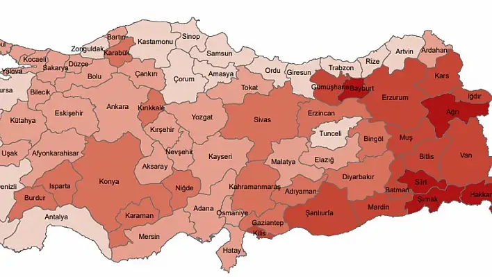 Kayseri'nin genç nüfusu belli oldu! Şehirde kaç genç yaşıyor? İşte o rakamlar