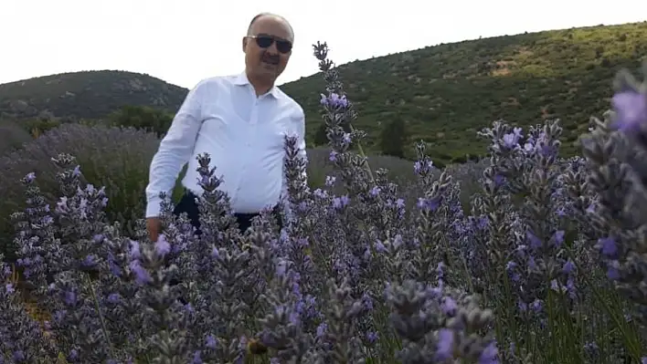 Kayseri'nin yeni Valisi: 'Gerekirse otobüsleri yakın' talimatı vermişti