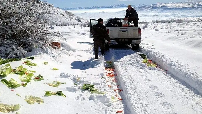 Kayseri Orman ve Su İşleri Müdürlüğü yaban hayvanları için yem bıraktı