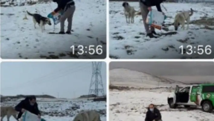 Kayseri polisinden  hayvanlara yem desteği