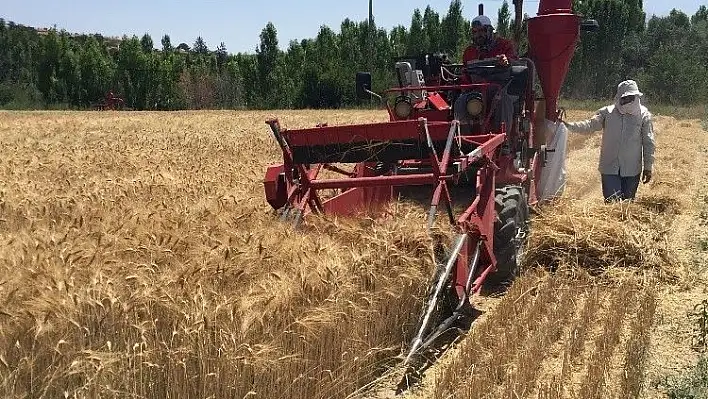 Kayseri Şeker, coğrafi şartlara uygun buğday ve arpa çeşitlerini araştırıyor
