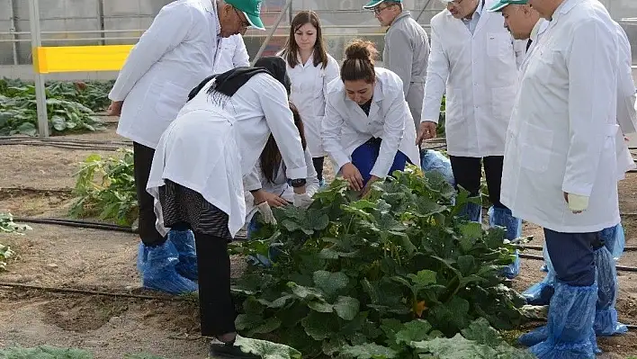 Kayseri Şeker'e 'Tarımsal Araştırma Kuruluşu' Belgesi