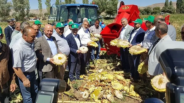 Kayseri Şeker  ile Kızık köyü birlikte ayçekirdeği hasad etkinliği düzenledi
