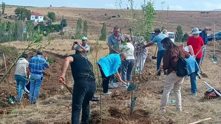 Kayseri sonbaharda yeşile bürünüyor