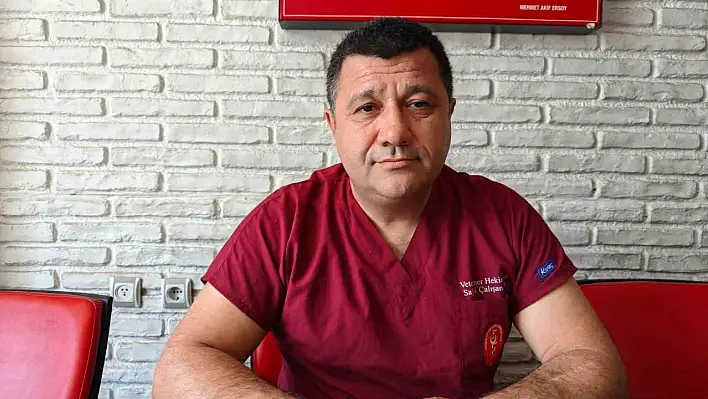 Kayseri'de kene tehlikesi: 'Sıcak hava keneleri agresifleştiriyor'
