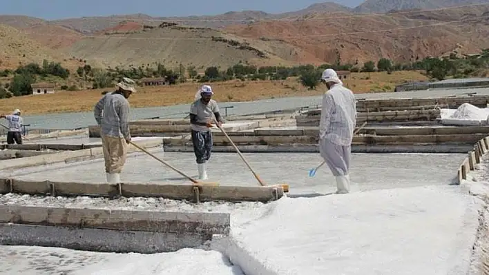 Kayseri'ye 2 bin 500 ton beyaz altın alınacak