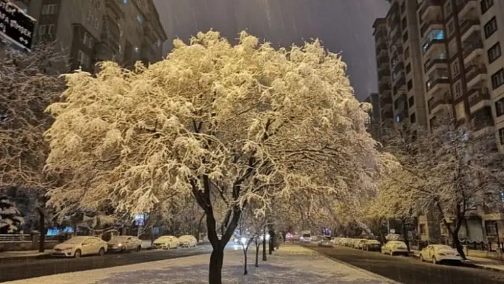 Kayseri'ye yılın ilk karı düştü