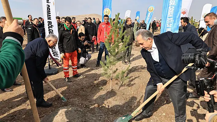 Kayseri yeşile doyacak! 3 milyon fidan toprakla buluşuyor!