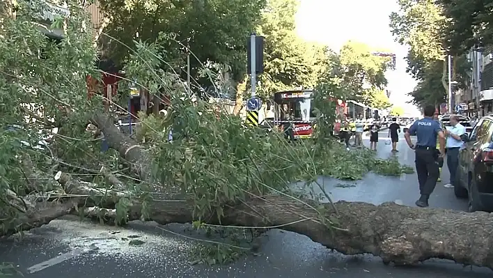 Kayserililer dikkat: Çatı uçması, ağaç devrilmesi, ulaşımda aksamalar yaşanabilir (10 Ağustos Pazar)