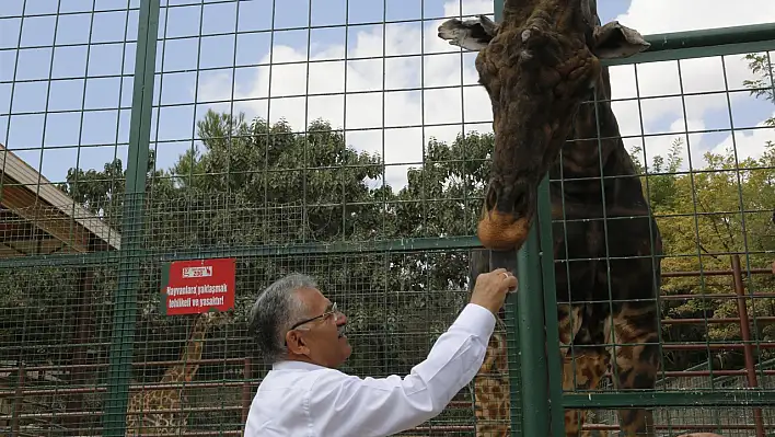 Kayserililere müjde! Bayram boyunca ücretsiz