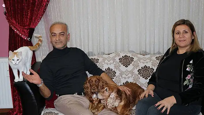 Kedi ve köpeklerin dostluğu görenleri şaşırtıyor