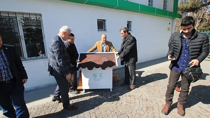 Kedilere sıcak yuva