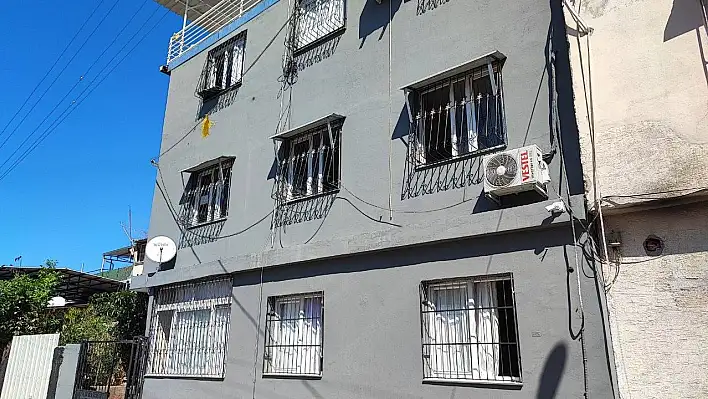 Kediyi çaldılar yetmedi bir fotoğraf çektirdiler