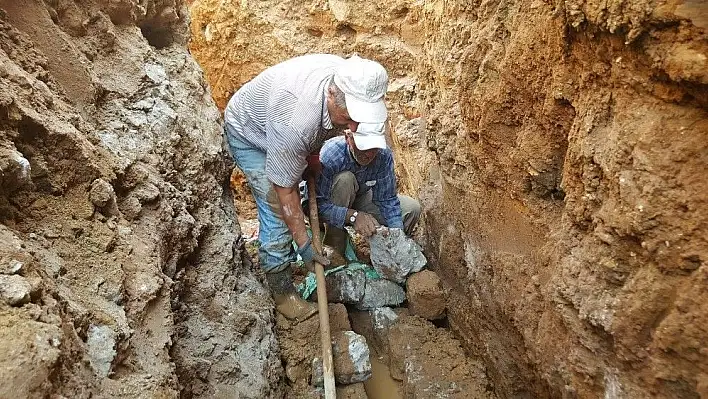 Kendilerini yabani hayvanlara adadılar