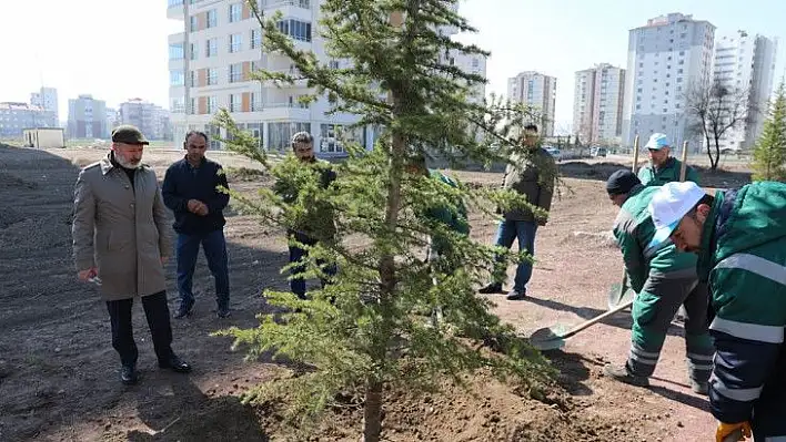 Kocasinan ağaç dikim sezonunu açtı