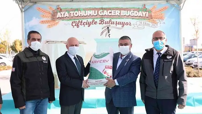 Kocasinan Belediyesi, çiftçilere ata tohumu gacer buğdayını dağıttı