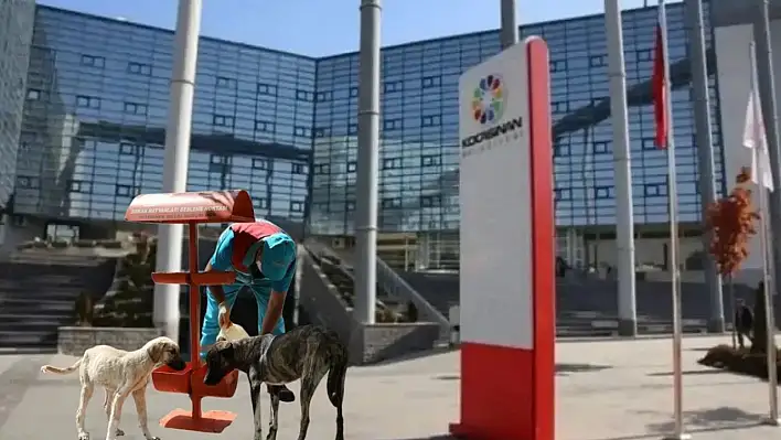 Kocasinan Belediyesi'nden can dostlarına destek