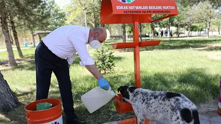 Küçük dostlar çalışmalarına liseli öğrencilerinden destek