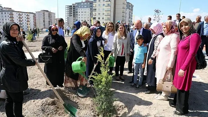 Kocasinan'da doğaya hanımeli değdi
