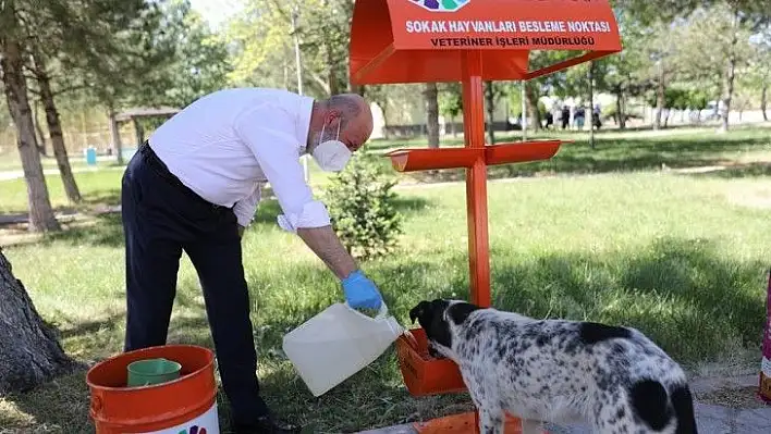 Çolakbayrakdar: Kocasinan'da hayat tüm canlılar için değerli