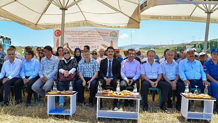 Kocasinan'da Şanlı Buğday Çeşidi Tarla Günü
