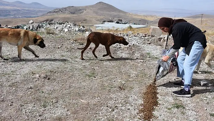 Kocasinan Gençlere Hayvan Sevgisi Aşılıyor