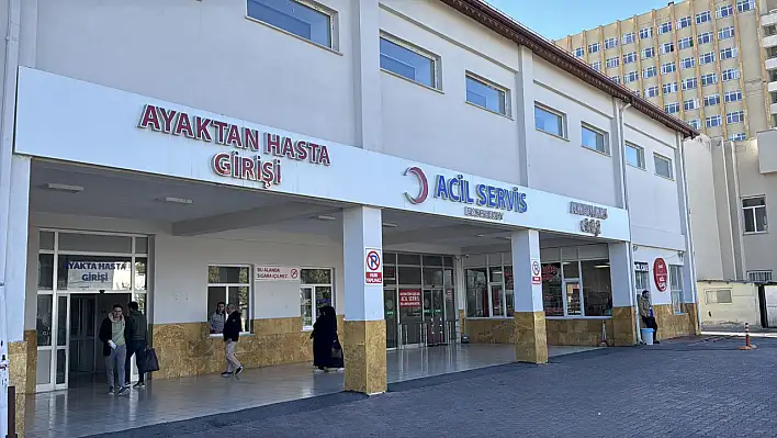Komşu ilde 57 yaşındaki kadına ayı saldırdı