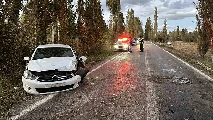 Kontrolden çıktı, ağaca çarptı: 4 yaralı