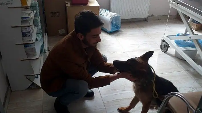 Köpeğe şiddet uygulayan yabancı uyrukluya ceza!