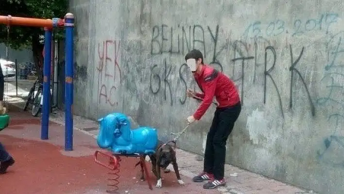 Köpeğin saldırdığı adam kolundan yaralandı