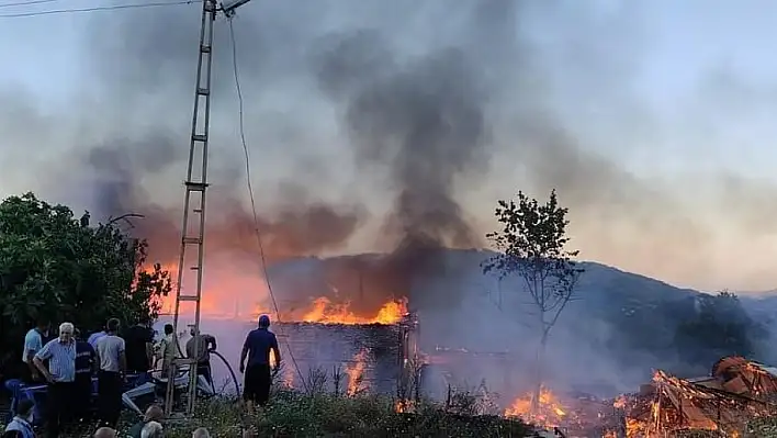 Kozan'da alevler ev, buğday deposu ve iş yerini yıkıp geçti