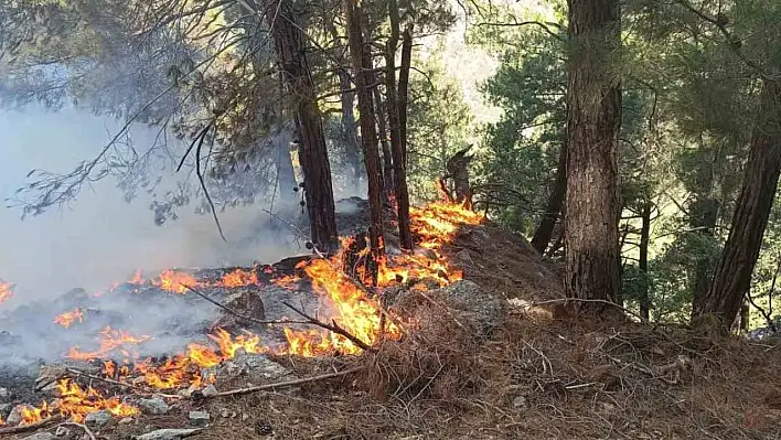 Adana Kozan'da orman yangını çıktı