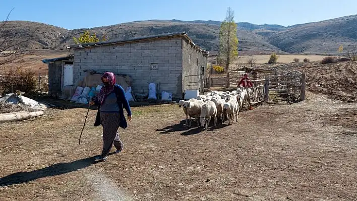 Kuralar çekiliyor