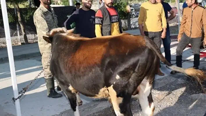 Kurban alacaklar ve kesecekler dikkat!