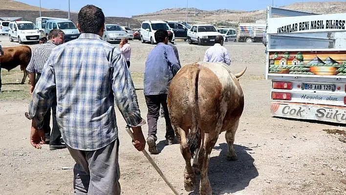 Kurban Bayramı'nda 27 bin 925 hayvan kesildi
