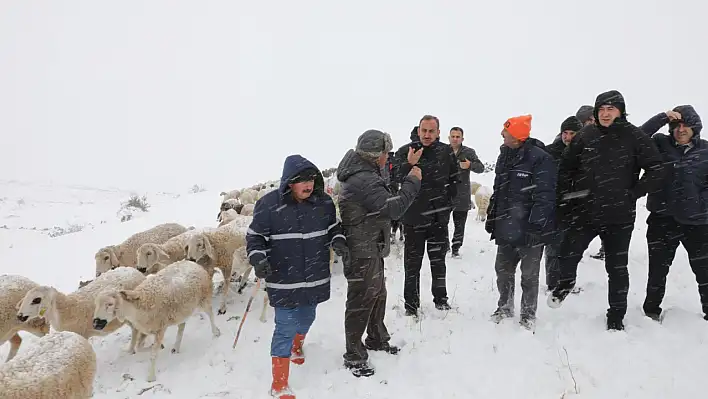 Kurtarma çalışmalarına Başkan da katıldı! Çoban ve hayvanlarına ulaşıldı