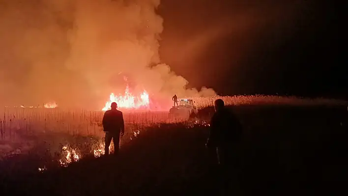 Kuş cennetinde yangın!