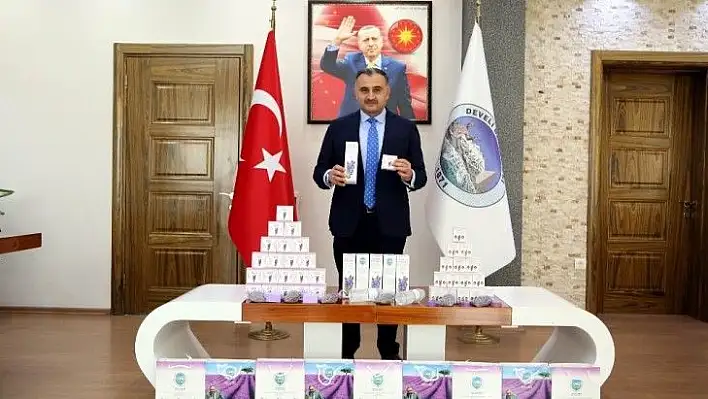 Lavanta bahçesinden ilk ürünler alındı