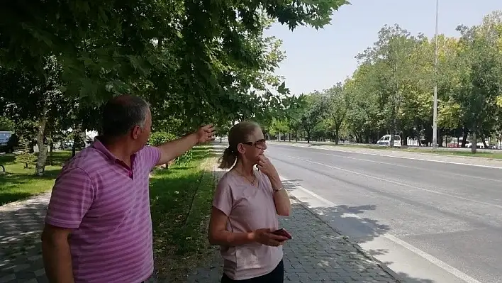 Mahallelinin 'Kaza' isyanı

