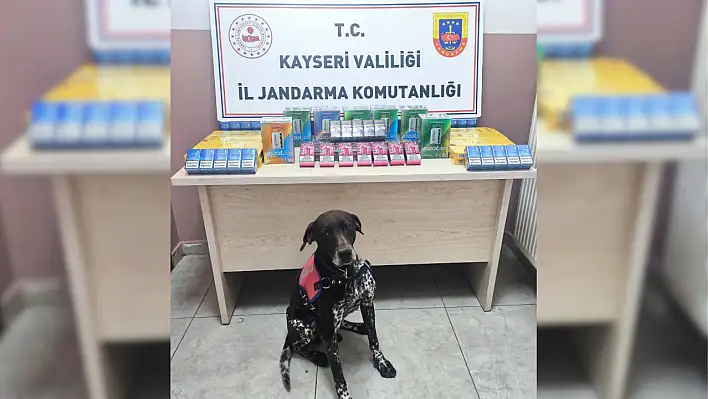 Malatya yolunda dedektör köpekler bakın ne yakalattı!