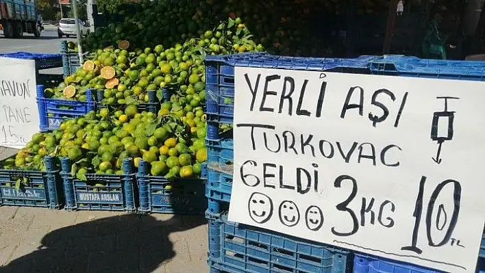 Mandalina reklamı ilgi odağı oldu