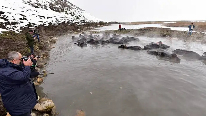 Mandaları fotoğraflamak için Kayseri'den gettiler! 