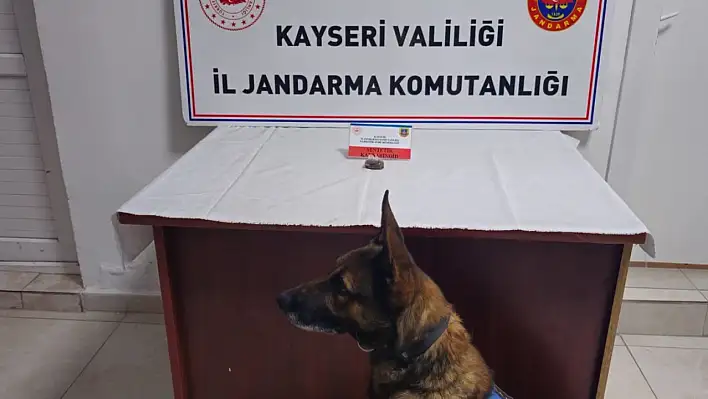 Melikgazi'de araçta bonzai ele geçirildi