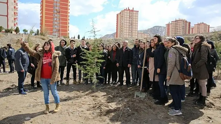 Melikgazi'de 10bin 500 çam fidanı toprakla buluştu