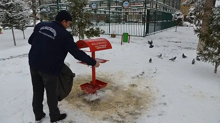 Melikgazi'de sokak hayvanları unutulmadı
