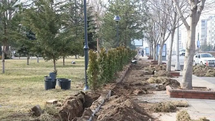 Melikgazi'nin parklarına ağaç ve süs bitkisi dikimi başladı