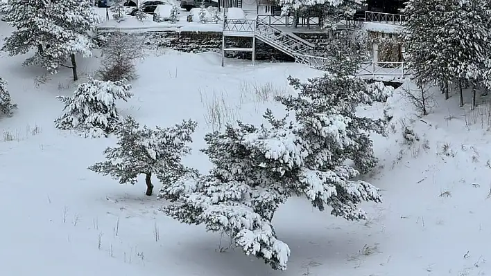 Kayseri bu yıl kara hasret kaldı